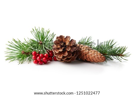 Christmas decoration of holly berry and pine cone on white background.