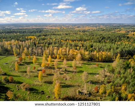 Landscape in fall