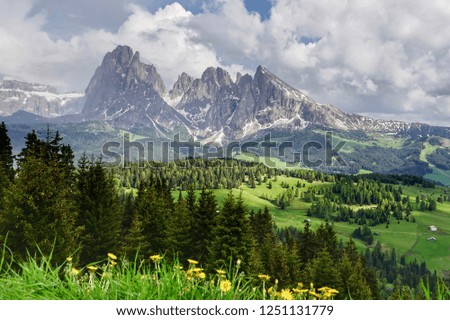 Dolomites in summer