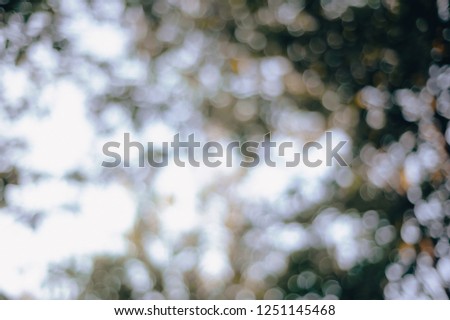 Bokeh of Nature. -vintage style picture and vintage color