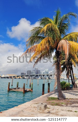 Miami city tropical view over sea from dock in the day with blue sky and cloud.
