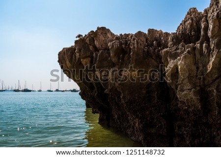 Seagull standing on top of a cliff in the Praia da Rainha (Queen's beach) in Cascais. Paradise between cliffs surrounded by the Atlantic Ocean in Cascais, district of Lisbon, Portugal. Royalty-Free Stock Photo #1251148732