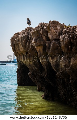 Seagull standing on top of a cliff in the Praia da Rainha (Queen's beach) in Cascais. Paradise between cliffs surrounded by the Atlantic Ocean in Cascais, district of Lisbon, Portugal. Royalty-Free Stock Photo #1251148735