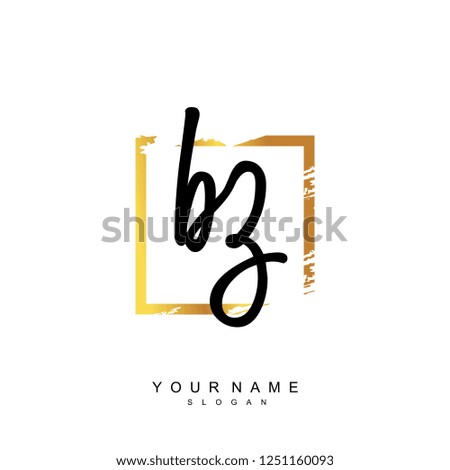 Initial BZ handwriting logo vector