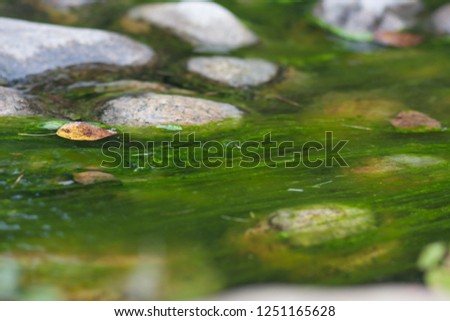 tina in the water. water and stones in the lake. photo for your design. sheet horizontal orientation
