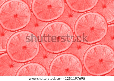 Pattern of grapefruit slices, citrus abstract background. Living Coral color of Year 2019.