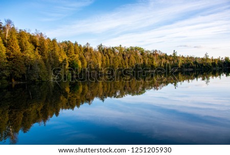 Stunning reflection in the lake