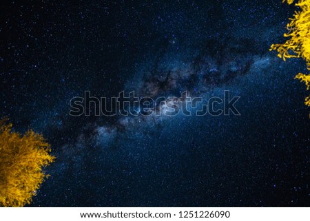milkyway night stars universe galaxy trees namibia