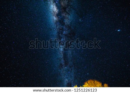 milkyway vertiacal tree night stars space galaxy namibia