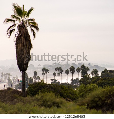 San Diego city view with trees road sea and sky