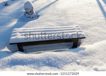 Snow-covered trees and benches in the city park. Winter landscape of frosty trees, white snow and blue sky. Tranquil winter nature in sunlight in park