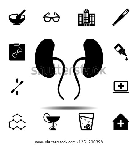 kidney icon. Simple glyph vector element of Medecine set icons for UI and UX, website or mobile application