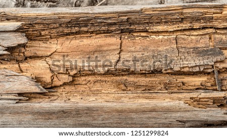 Beautiful and original texture. Complex, incomprehensible, original and interesting texture, pattern and background of old and old wood and wooden products and boards.