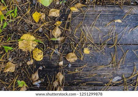Beautiful and original texture. Complex, incomprehensible, original and interesting texture, pattern and background of wood and wood products and boards with fallen leaves.