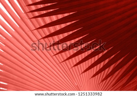 Beautiful tropical leaves texture in colour of the year 2019 Pantone - Living Coral