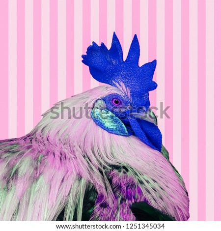 Contemporary art collage. Colorful cock. Minimal animal collage concept