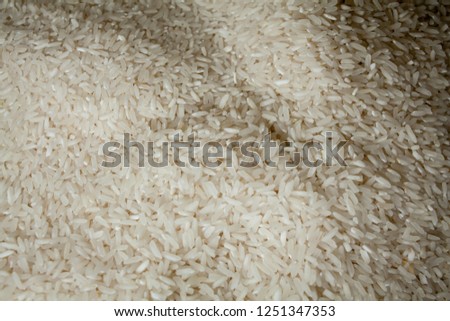 raw White rice. close up shot of the rice background. Raw rice as background. basmati rice white photo background pattern asian raw unpolished dry