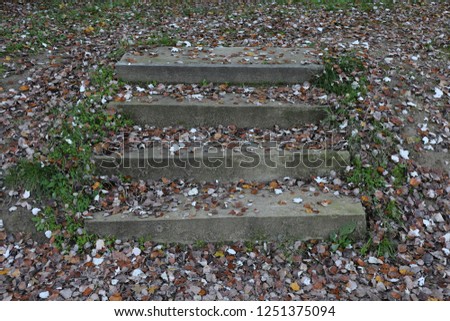 Close up view of a small staircase with four steps and located in a french park. Ground covered by dead leaves during the autumn season. Green grass visible.