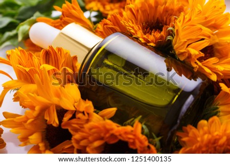essential oil of calendula on a white background