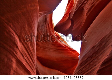 
Rock-shark shaped,Grand canyon,death  valley ,sandstone formations in upper Antelope Canyon, Page, Arizona, USA,Smiling shark image