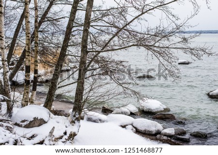 A view of the frozen river, stones and snow-covered trees. Forest in the background. Lahemaa national park, Estonia