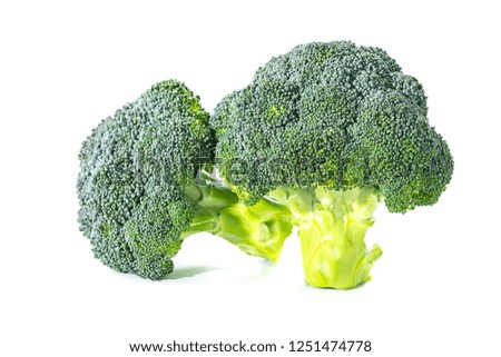 Various shapes of broccoli placed on a white background