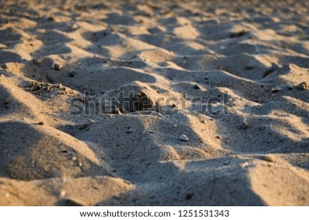 Beautiful and original texture. A complex, incomprehensible, original and interesting texture, pattern and background of sand on the shore.