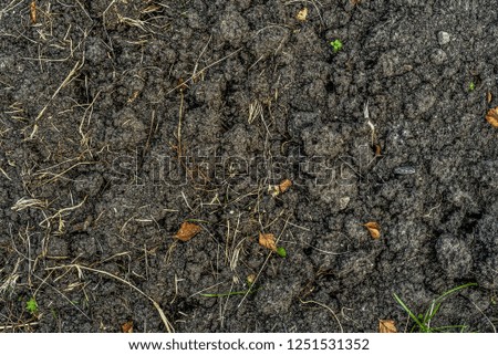 Beautiful and original texture. Complex, incomprehensible, original and interesting texture, pattern and background of black earth and soil.