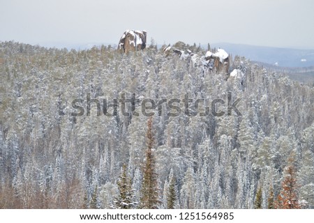 Krasnoyarsk pillars in winter frozen forest trees