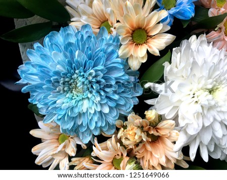 Photo of natural bright colorful flowers