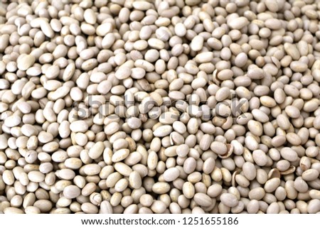 famous  ispir bean  top view background at Erzurum  Royalty-Free Stock Photo #1251655186