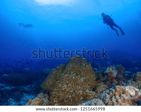 Underwater photography of coral reef and silhouette of swimming scuba diver at Gulf of Thailand.