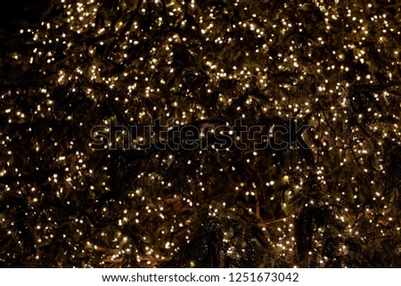 Lights of a Christmas tree with a dark background.