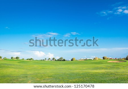 Grass Fields Of Green