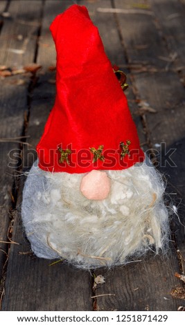 Christmas Gnome Isolated