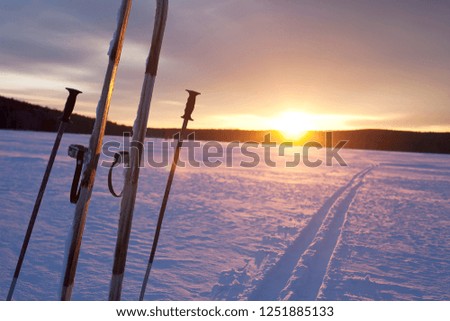 Hunting skis stuck in the snow.