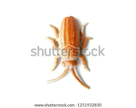 Cockroach toy on white background.