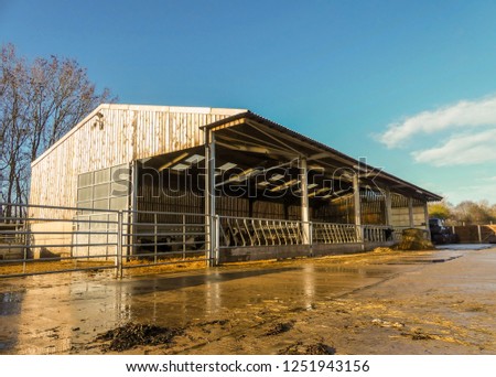 Cattle shed at Chiltern Hills Farm, Chorleywood, Hertfordshire Royalty-Free Stock Photo #1251943156