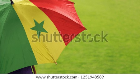 Senegal flag umbrella. Close up of printed umbrella over green grass lawn background. Rainy weather forecast. Climate change and global warming concept.