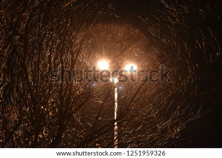 Night lamps in the park