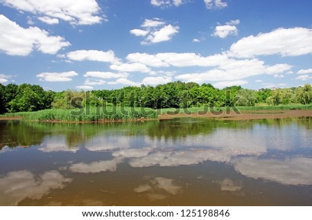 Mirroring summer lake near the forest in Romania
