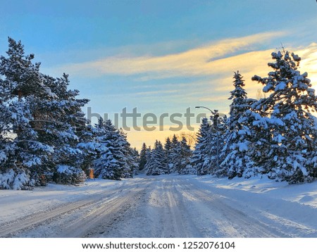 Scenic Winter Road