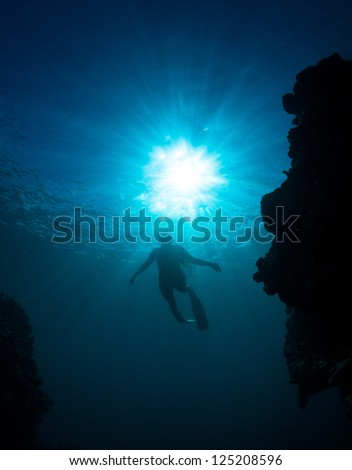 silhouettes of a young women free diving in the pacific ocean