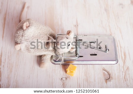 mousetrap with mouse