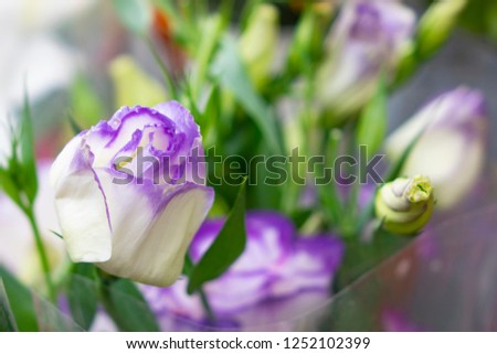 Purple rose bouquet for the bride on her special day.