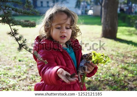Little girl in red jacket shows acorns in hand