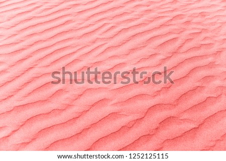 Trend photography on the theme of the new color of the year 2019 - Living Coral. texture of beach sand background.