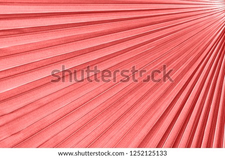 Trend photography on the theme of the new color of the year 2019 - Living Coral. texture of palm leaf background. 
