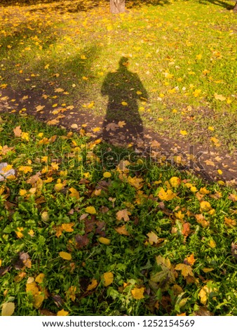Photographer's shadow with autumn background 