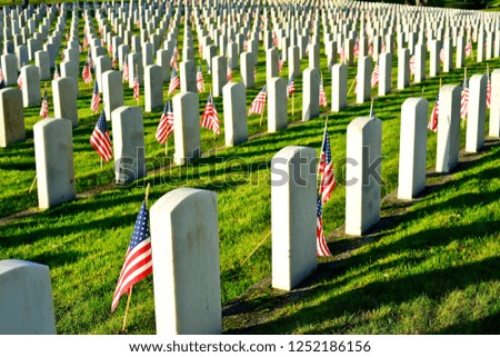 US Military Cemetery waving the US flags